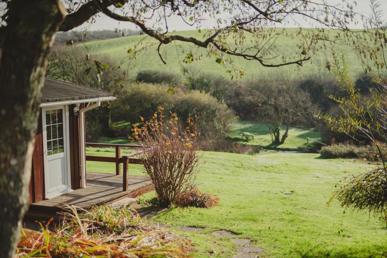 Timber Hill Self Catering Cedar Lodges Broad Haven Exteriör bild