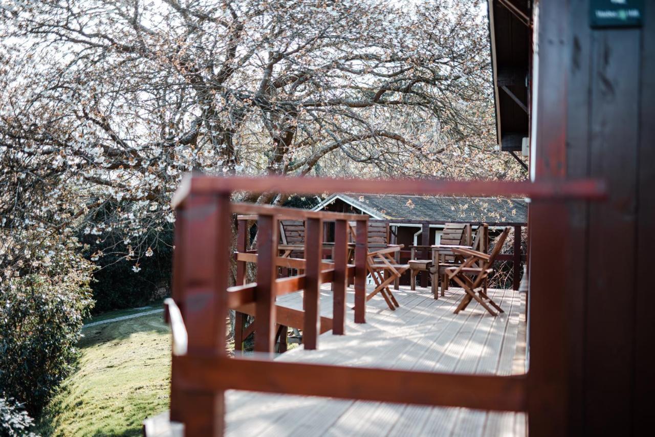 Timber Hill Self Catering Cedar Lodges Broad Haven Exteriör bild